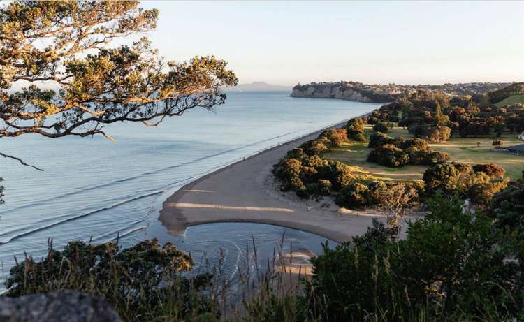 Lot 6, Green View, 90 Te Oneroa Way Long Bay_9