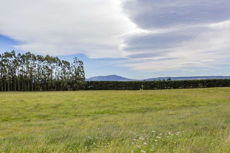 50 Brackenfield Downs Road Fernside_5