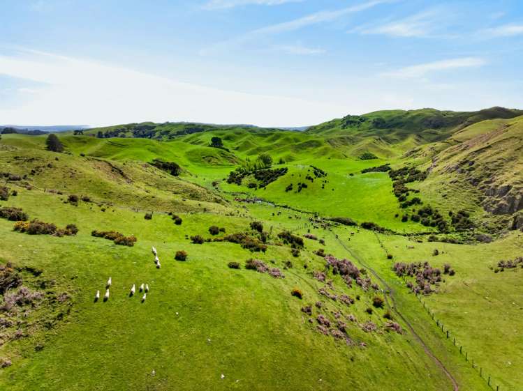 559 Maraetotara Road Maraetotara_17