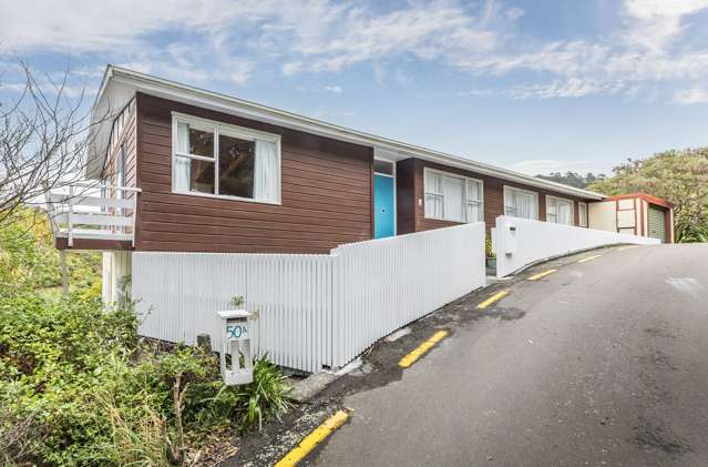 50 Mount Pleasant Road Aro Valley_2