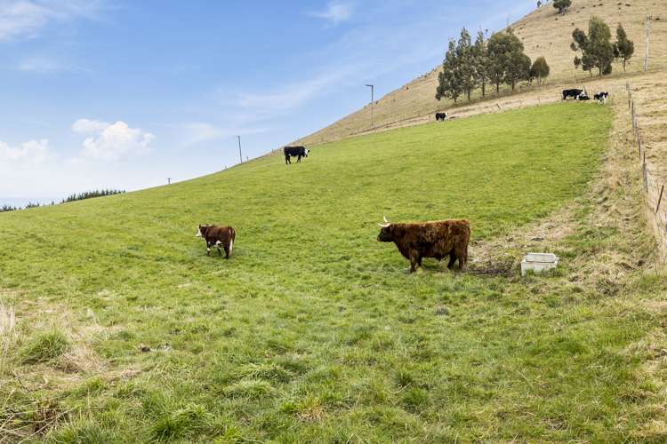 245 Saddle Hill Road Saddle Hill_22