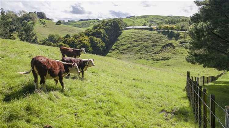 109 Ballantyne Road Poraiti_12