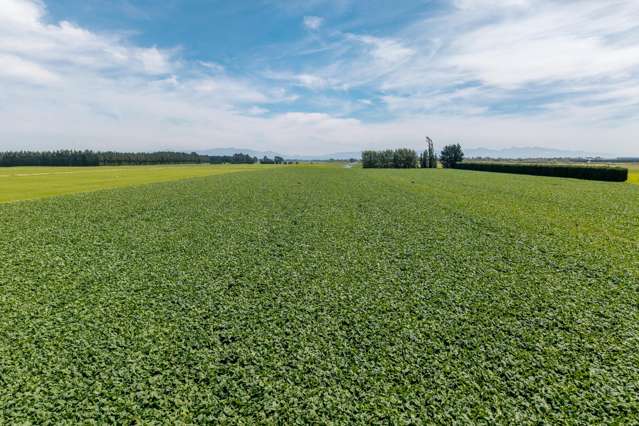 83 Highfield Road Dunsandel_3