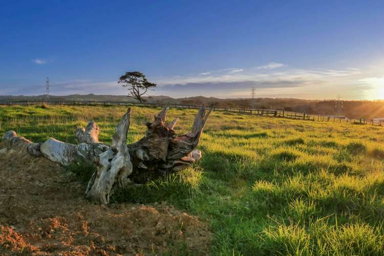 231 Nixon Road Taupaki_11