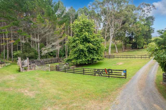 88 Scott Rd Te Awamutu_4