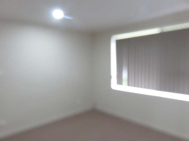 59 Hollyford Drive Clover Park_12