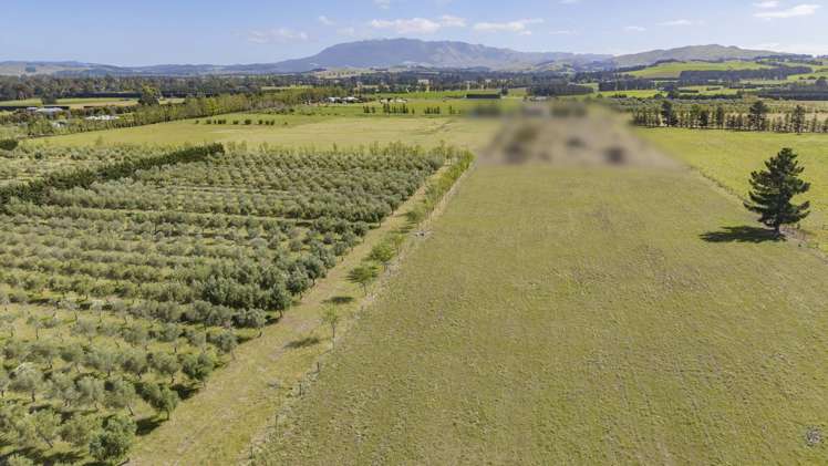 206 Mount Brown Road Broomfield_43