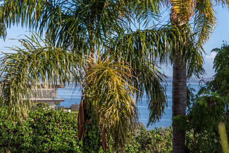 10/67 Sarsfield Street Herne Bay_10