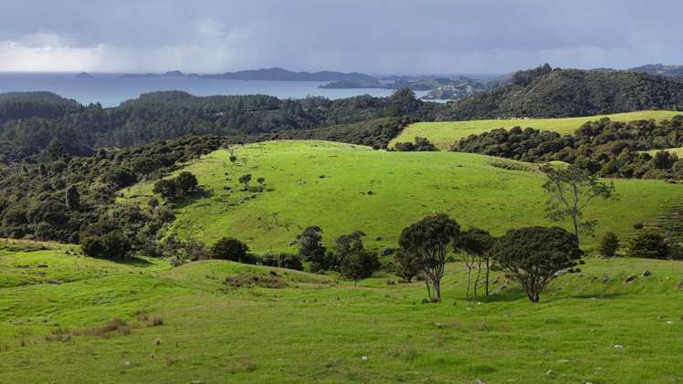 1070a Wainui Road Kaeo_9