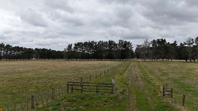 265 Paranui Road Foxton_4