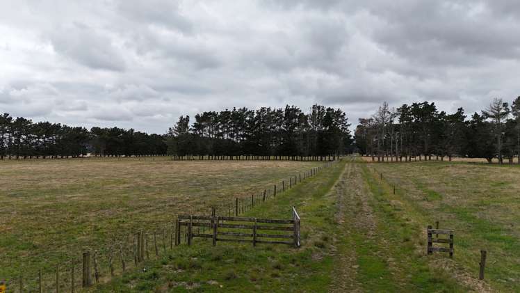 265 Paranui Road Foxton_4