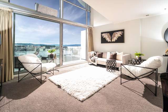 SUNNY AND SPACIOUS CITY PENTHOUSE