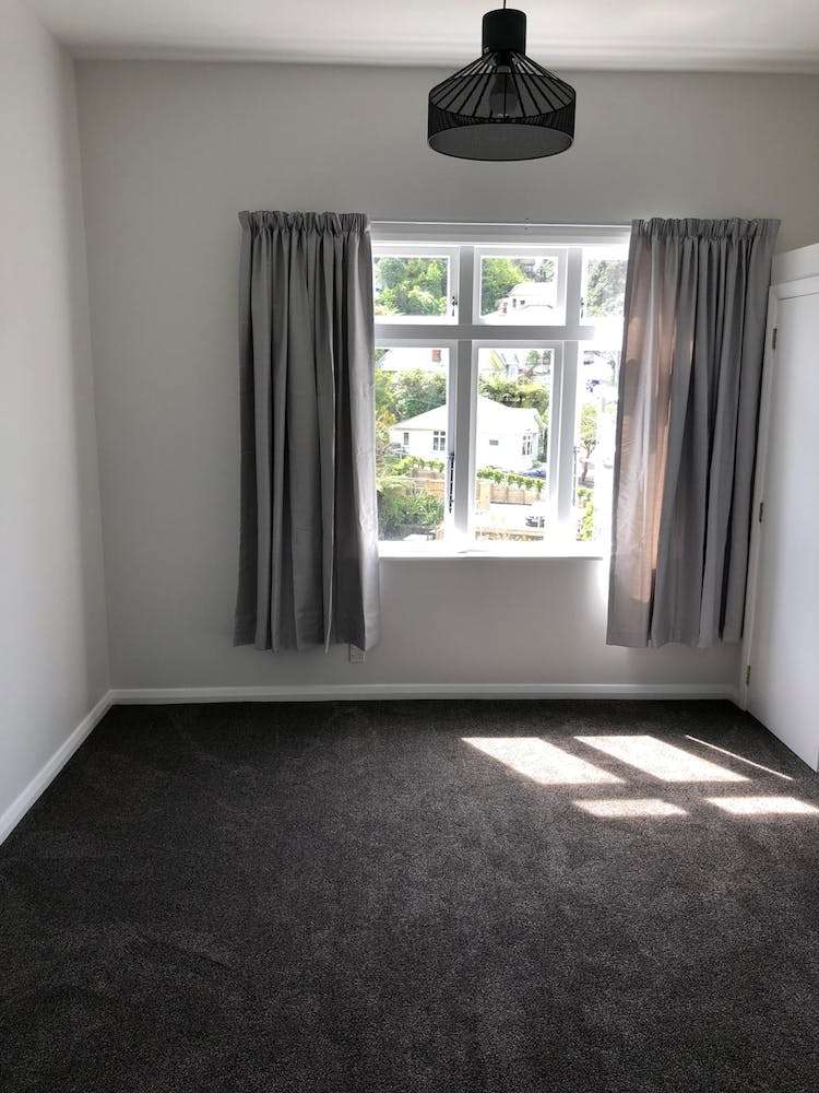 213 Aro Street Aro Valley_13