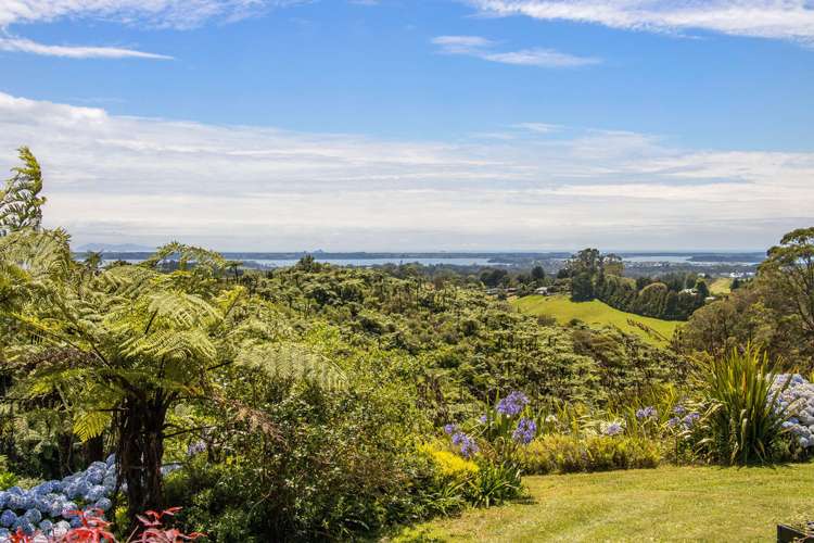 439 Wainui South Road Whakamarama_23
