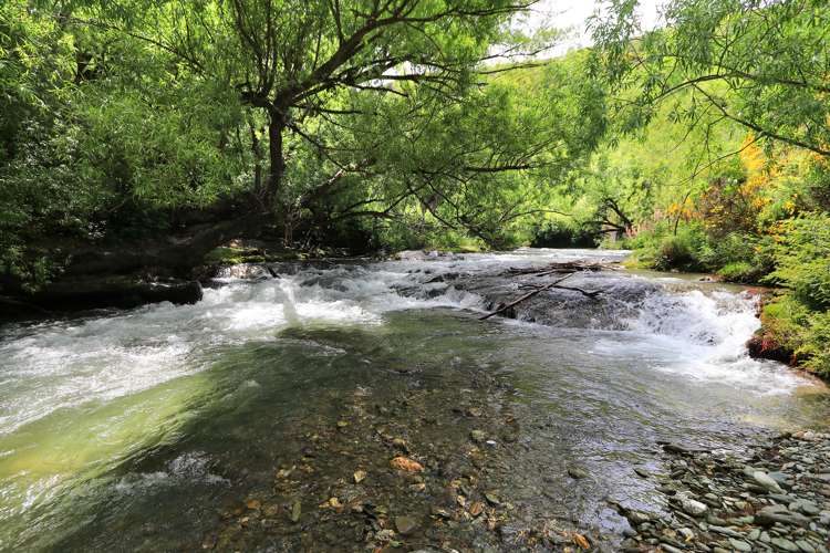 90 Whitechapel Road Arrow Junction_17