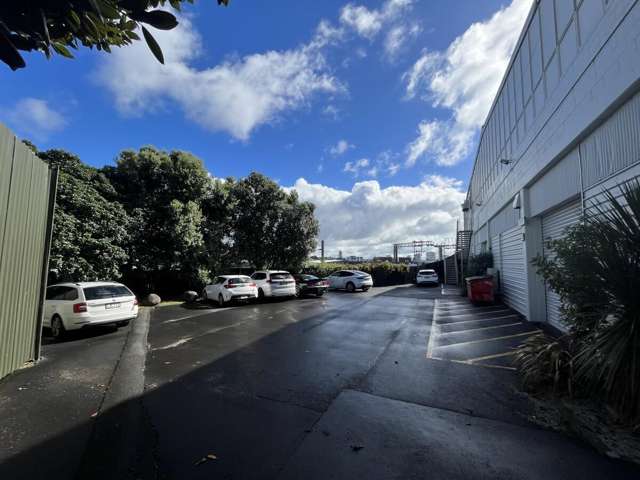 44 George Street Mount Eden_2