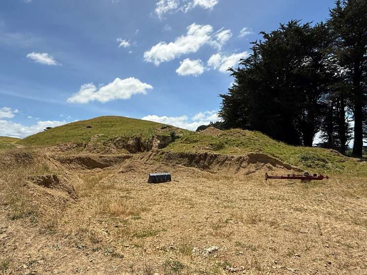 83 Norsewood Ormondville Road Norsewood_16