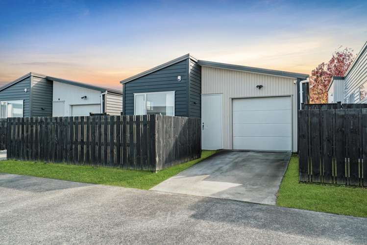 6 Swamp Kauri Grove_1