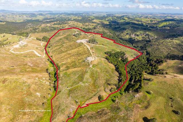 Arcadia Road Paparoa_1