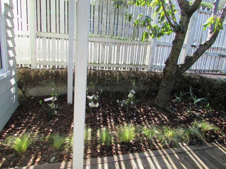 66 Oxford Street Lyttelton_10