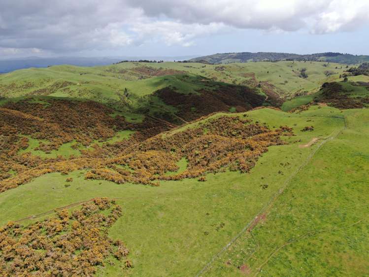 613 Pirongia West Road Oparau_15