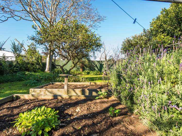 39 Young Street Wanganui East_15