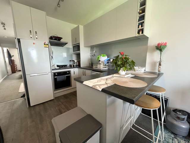 4A/17 Scanlan Street Ponsonby_3