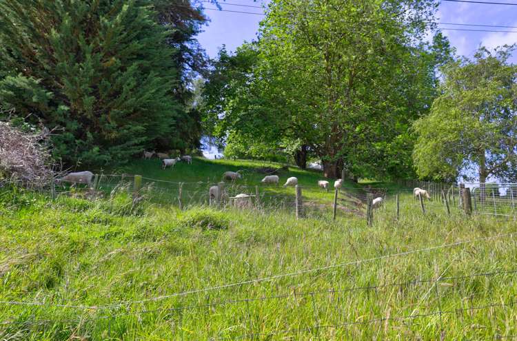 215a No 3 Line Wanganui East_3