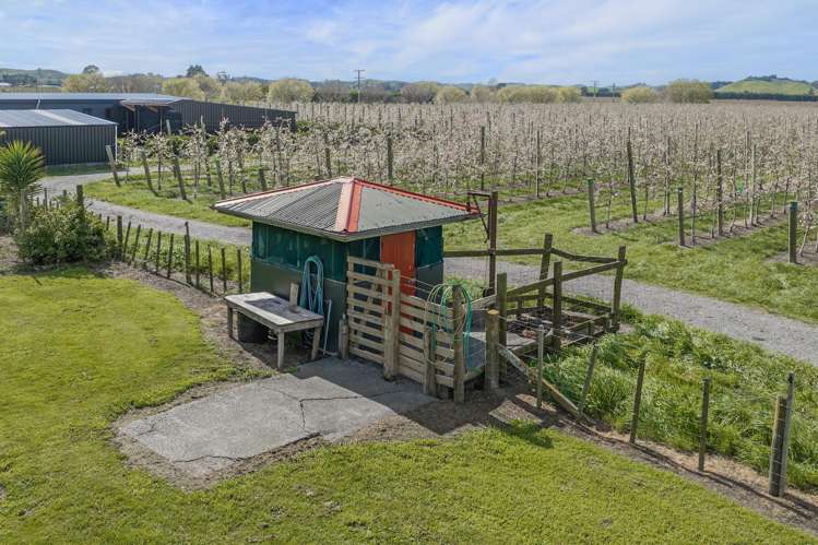 268 Moteo Pa Road Puketapu_26