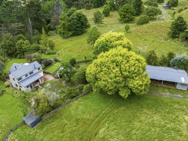 1131 Whakarau Road Te Karaka_3