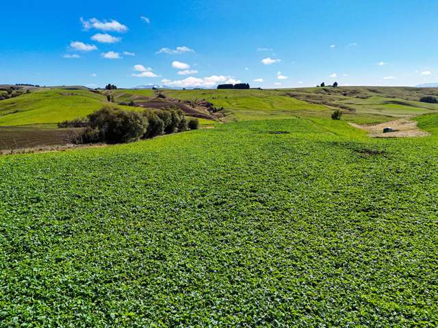 27 Moffat and Forbes Road Otautau_2