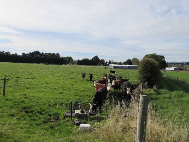 12 Asquith Street Mataura_8