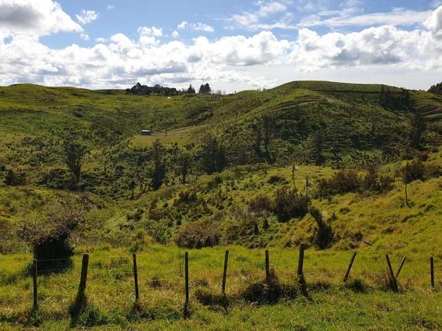 610 Bickerstaffe Road Maungaturoto_2