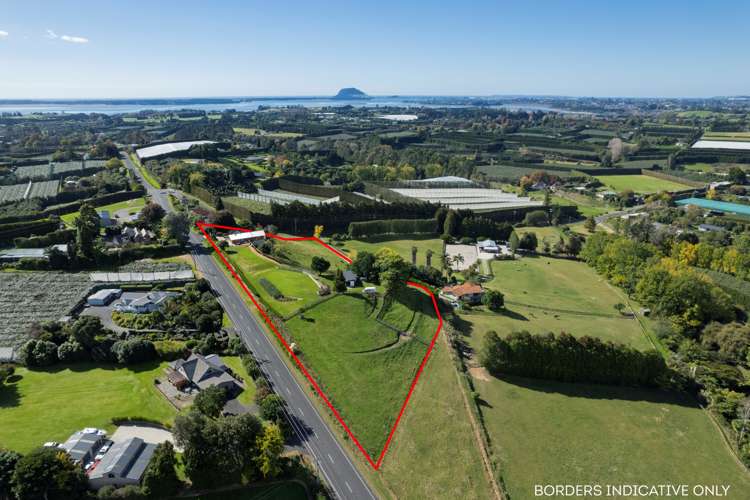 134 Snodgrass Road Te Puna_8