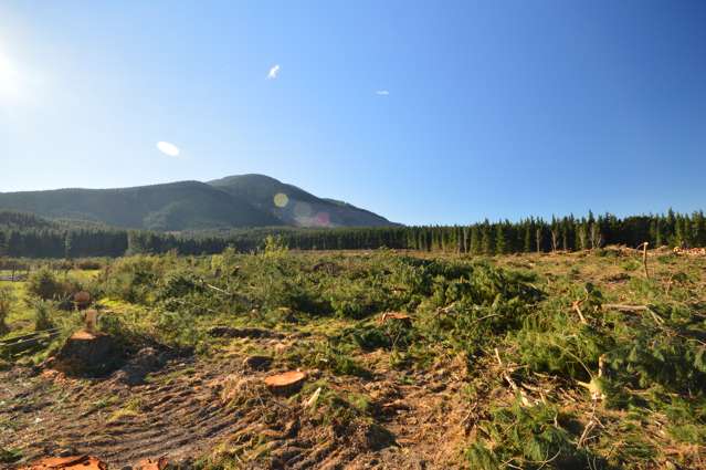 423 Hayland Road Okuku_1