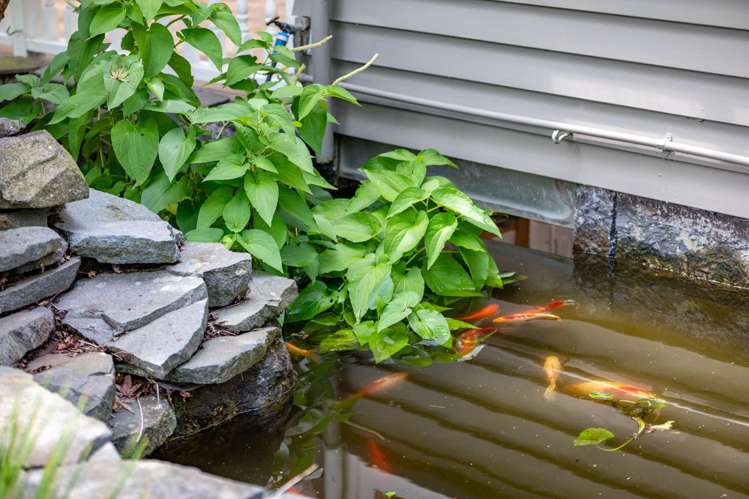 61 Te Aroha Street Hamilton East_48