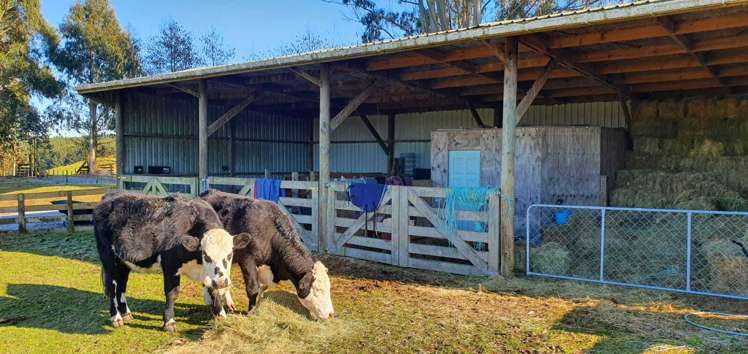 3/1171 Poihipi Road Oruanui_15