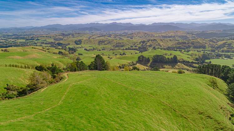 1094 Opaki Kaiparoro Road Rangitumau_12