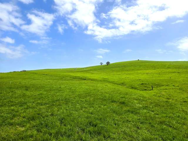 3050 Mititai Road Dargaville_2