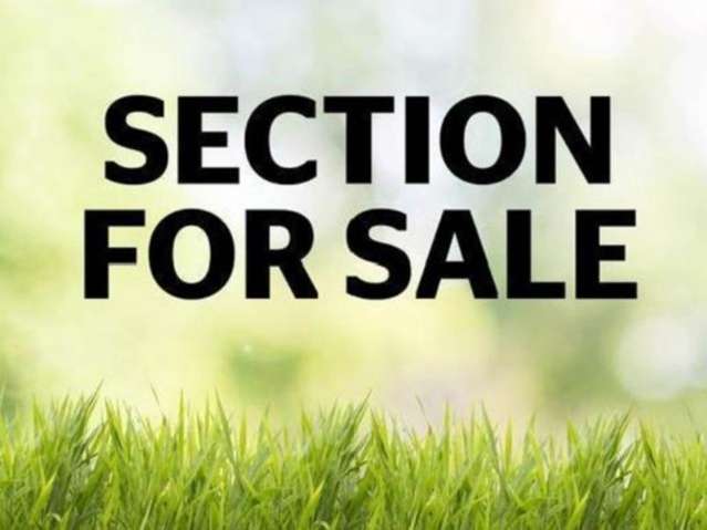 8 Korari Way Unsworth Heights_1