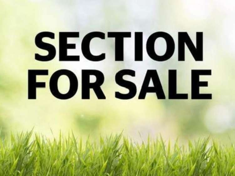 8 Korari Way Unsworth Heights_1