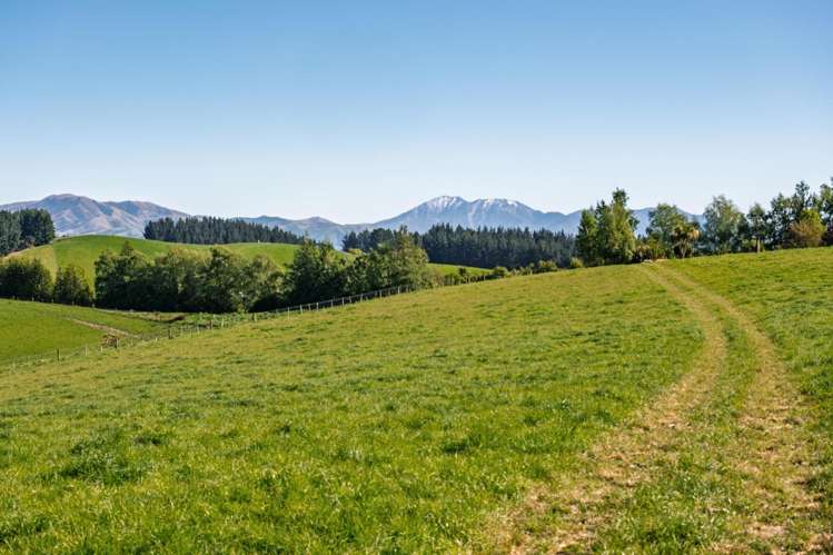 285 Greenvale Road_2