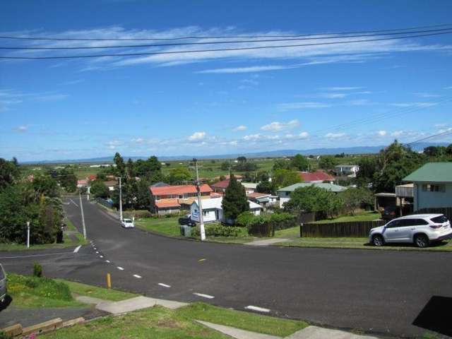 202 Waikiekie Road Thames_1