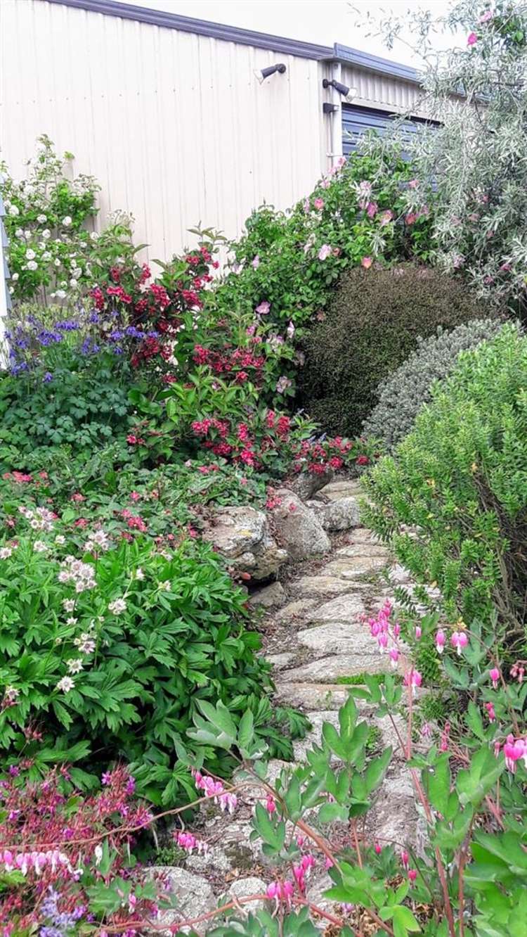 294 Burgess Road Herbert_17