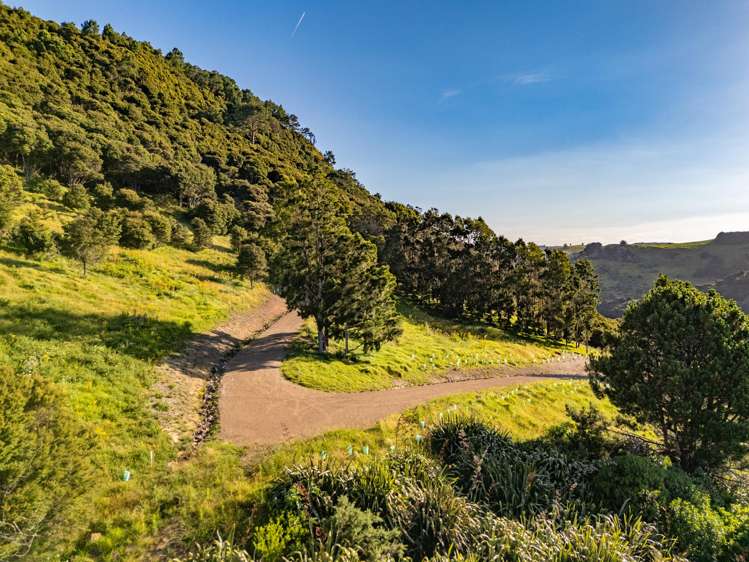 79-85 Awaawaroa Road Waiheke Island_12