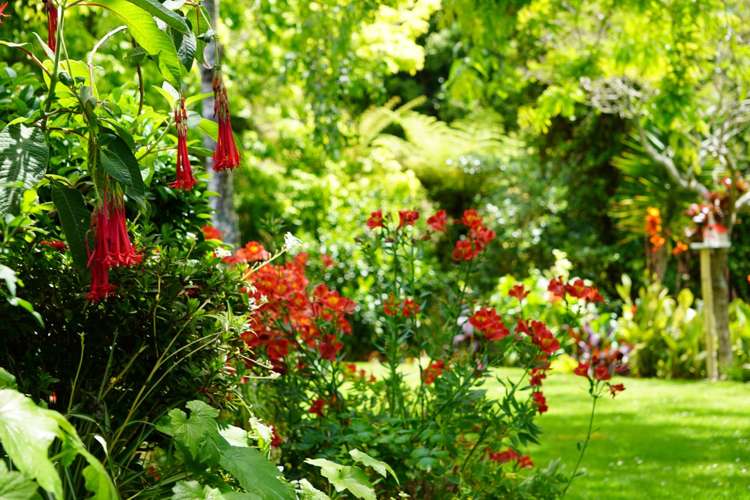 70A Tirimoana Road Te Atatu South_23