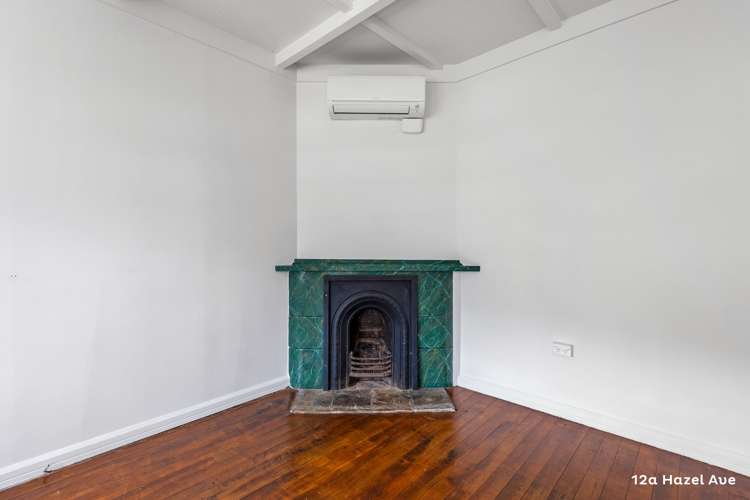 12a Hazel Avenue Mount Roskill_15