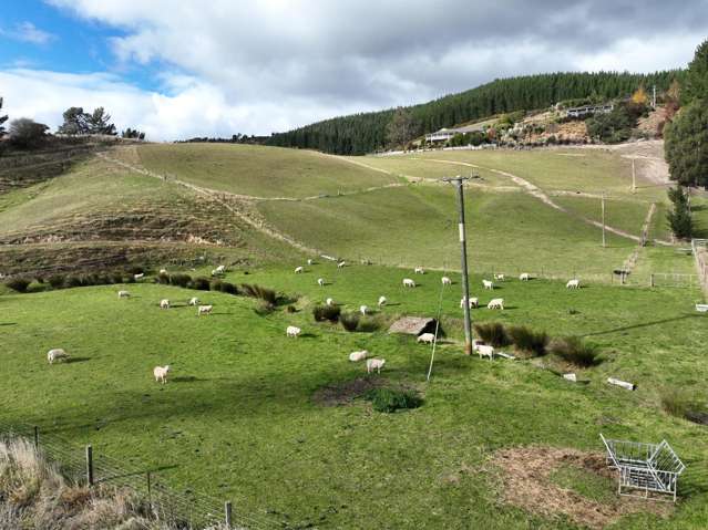 28 Ramsgate Street Waihola_1
