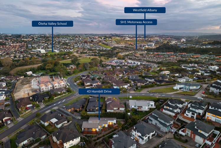 43 Hornbill Drive Albany_17