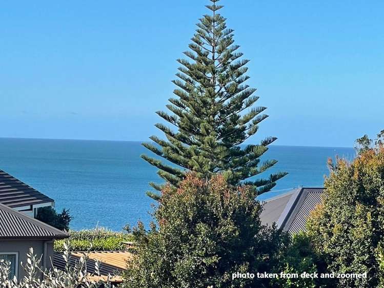 170 Vipond Road Stanmore Bay_6